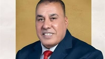 النائب محمد عبدالعال أبو النصر 