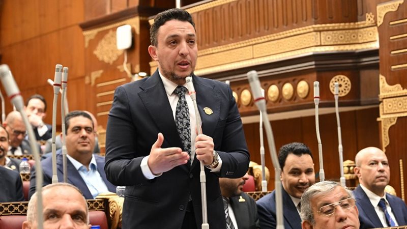 النائب مصطفى أبو