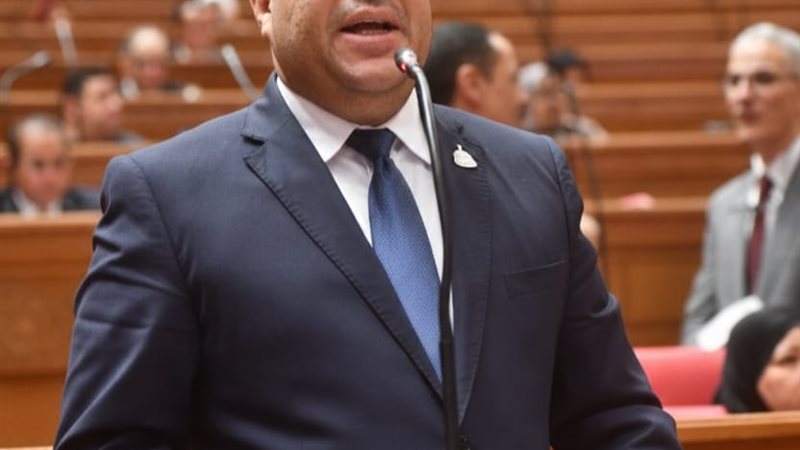  النائب أحمد عصام الدين