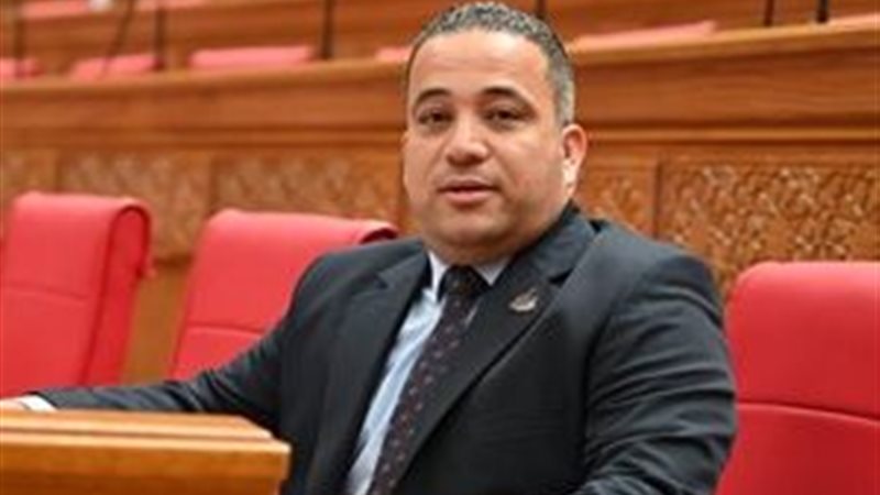 النائب هاني شحاتة 