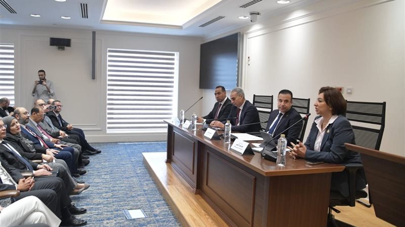 النائبة مها عبد الناصر