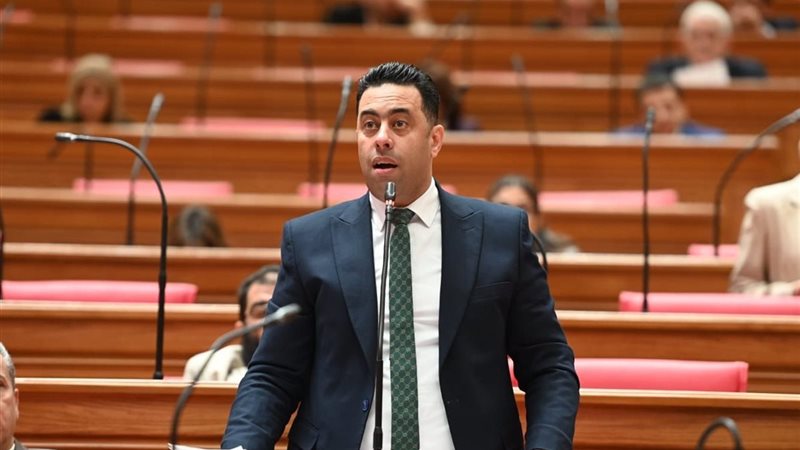 النائب أحمد فرغلي