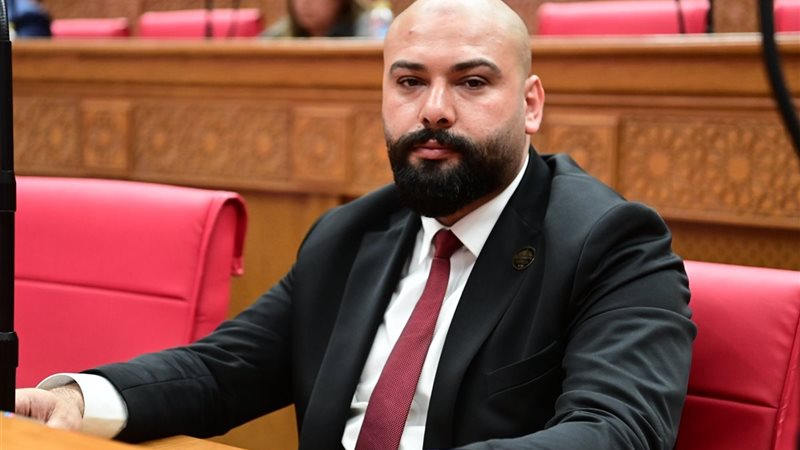  النائب إبراهيم الديب