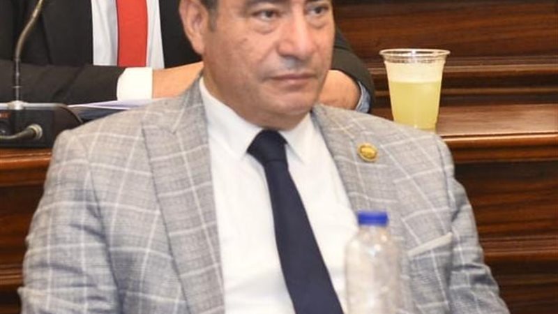  النائب مجاهد نصار