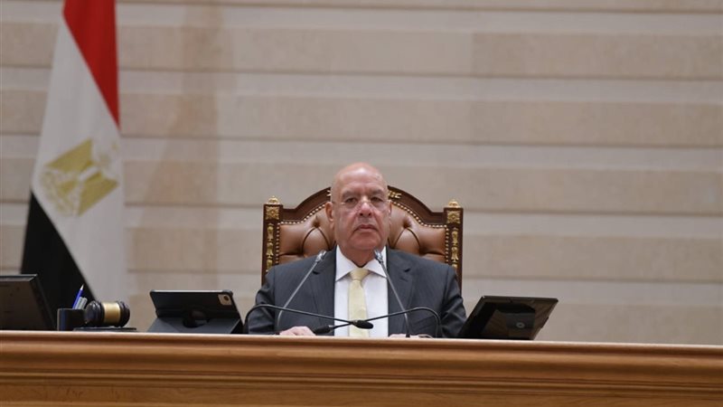 المستشار هشام بدوي