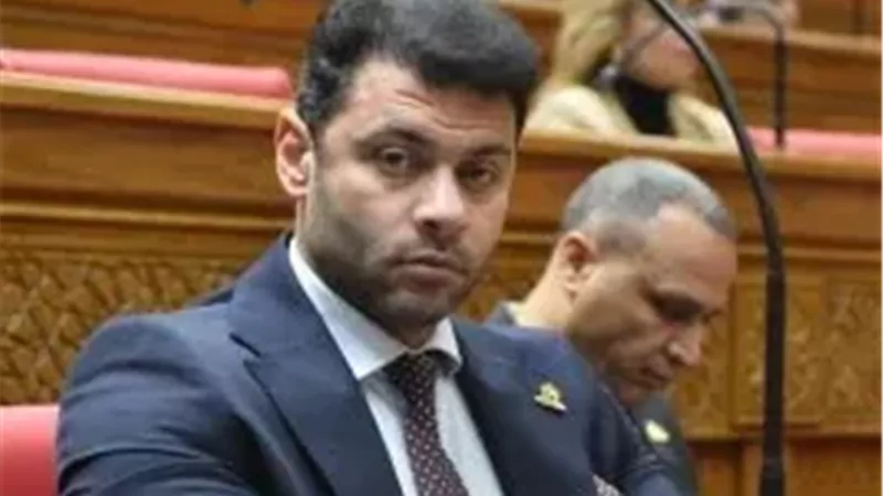النائب أحمد حلمي
