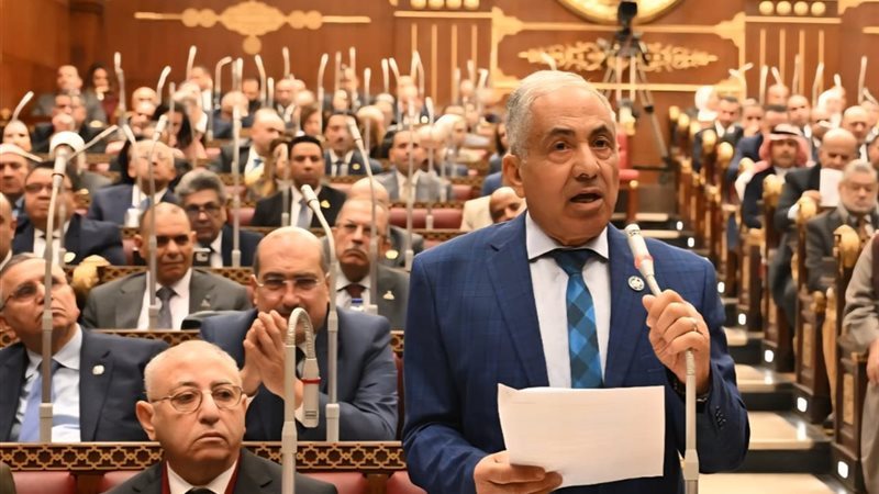 النائب أحمد العوضي