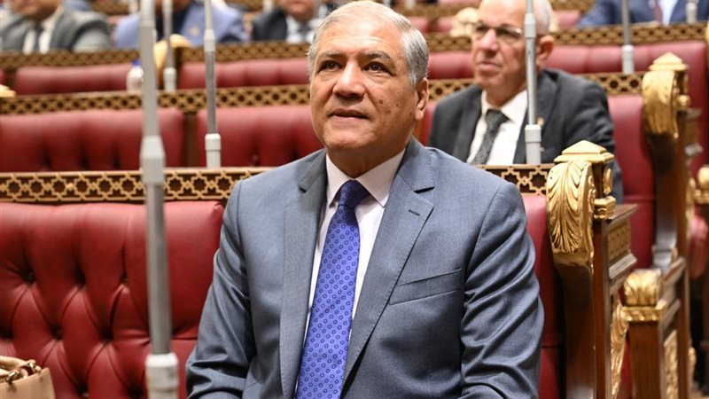 الدكتور عفت السادات 