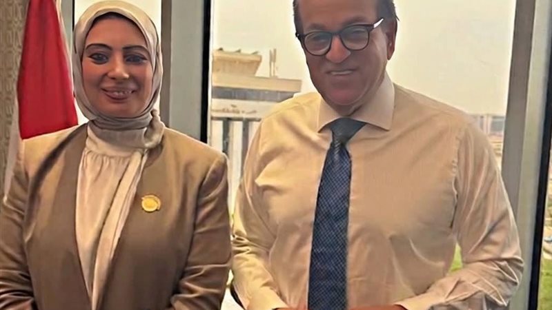 النائبة بسمة هنداوي