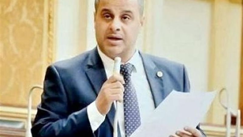 النائب عاصم عبد العزيز