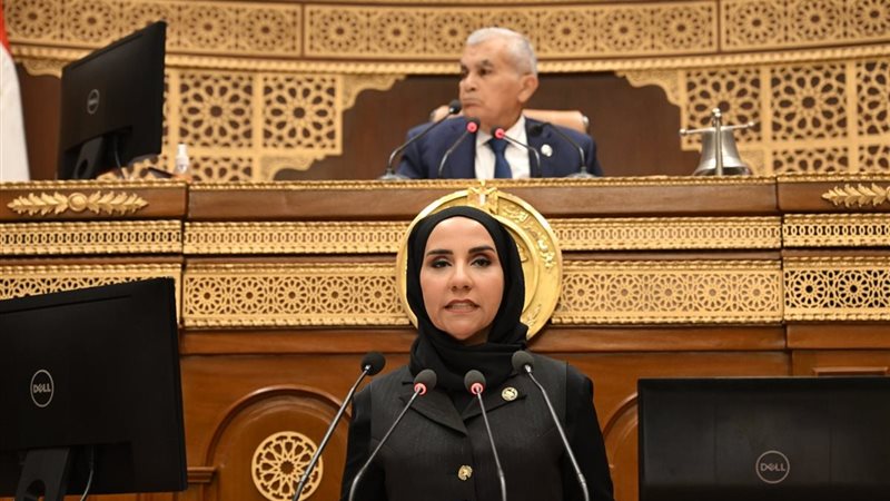 النائبة ولاء هرماس
