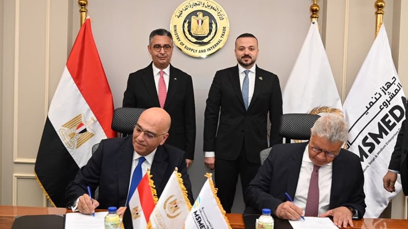 النائب محمد الجارحي