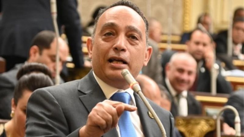النائب فريد البياضي