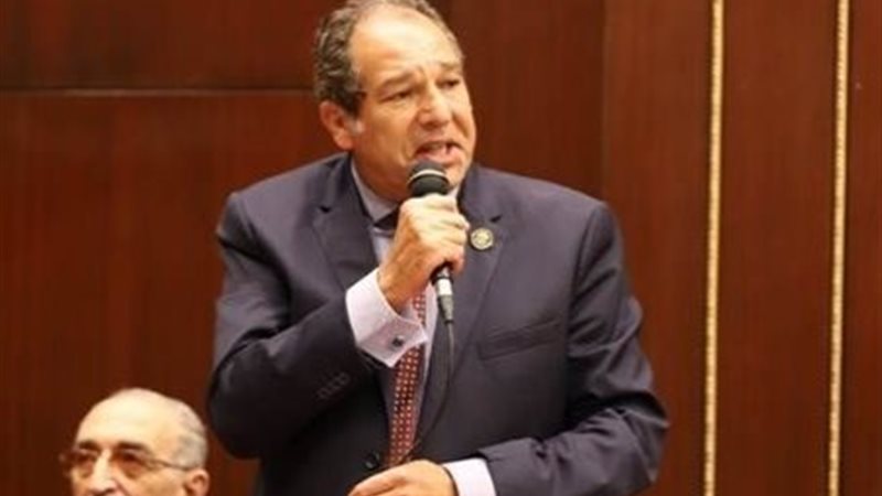  النائب حسام الخولي