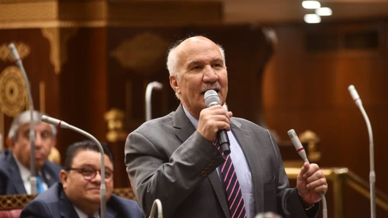  النائب سيد عبد العال
