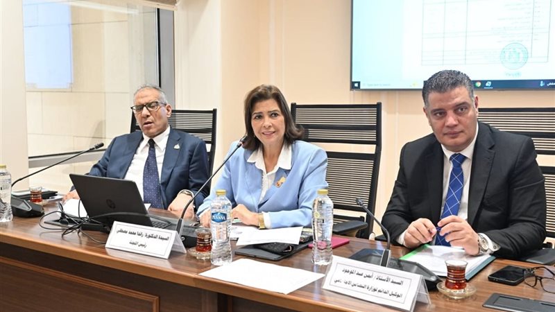  لجنة التضامن الاجتماعي