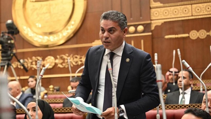 النائب مجدي البري 