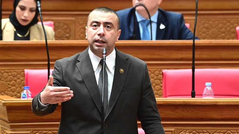 المهندس أحمد بهاء شلبي