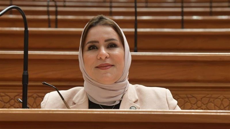 النائبة نيفين الكاتب