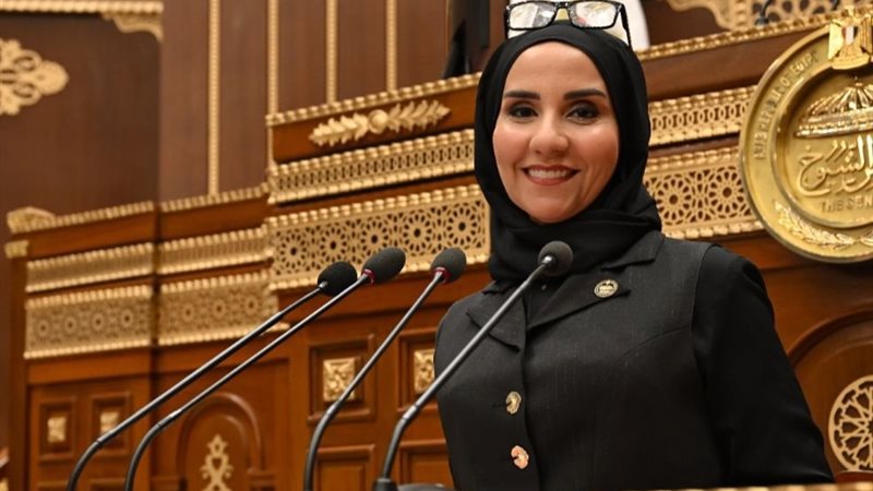النائبة ولاء هرماس