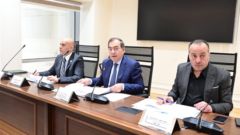 اجتماع لجنة الطاقة