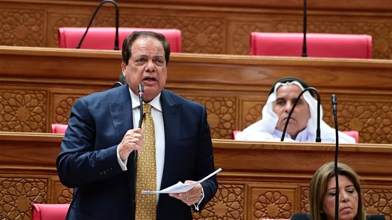 النائب محمد أبو العينين