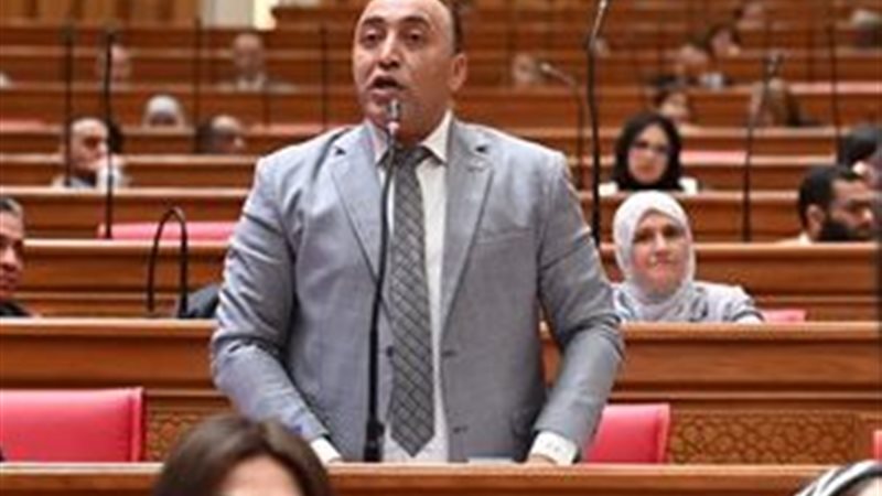  النائب حسام الخشت