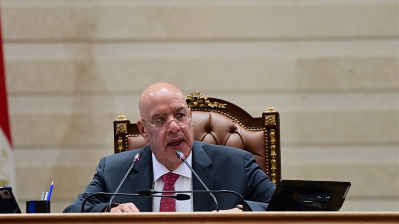 المستشار هشام بدوي