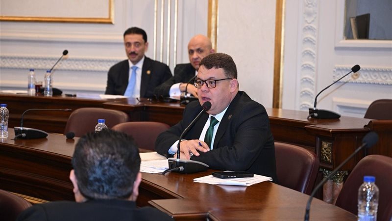 النائب محمد البديوي