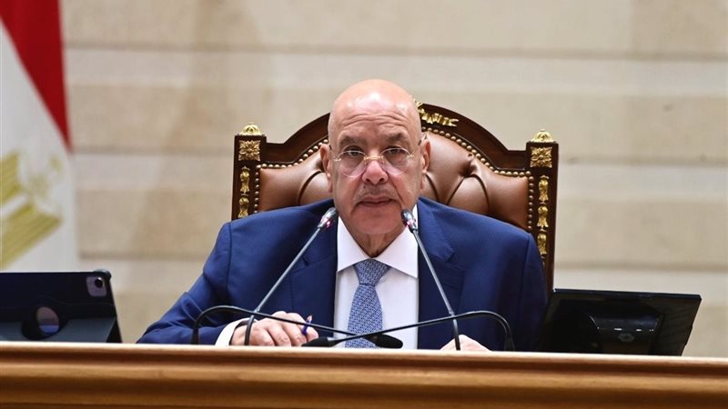 المستشار هشام بدوي
