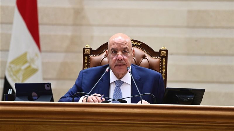 المستشار هشام بدوي