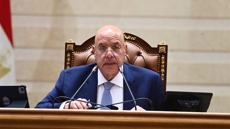 المستشار هشام بدوي