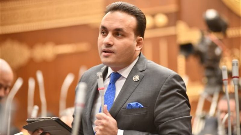 النائب عمرو فهمي 