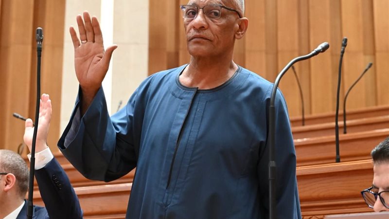 النائب مدحت ركابي