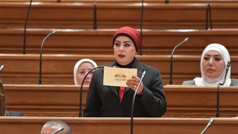 النائبة د. جيهان