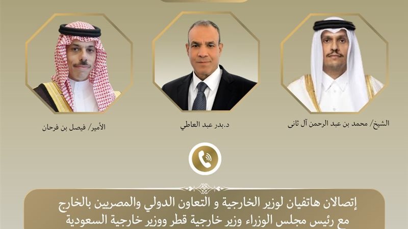 د. بدر عبد العاطي