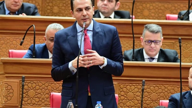 النائب أحمد عبد الجواد 