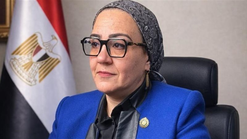 النائبة داليا الإتربي