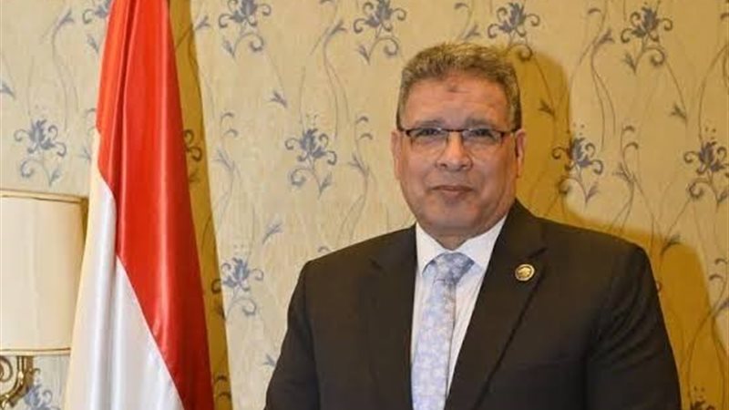 النائب عصام العمدة