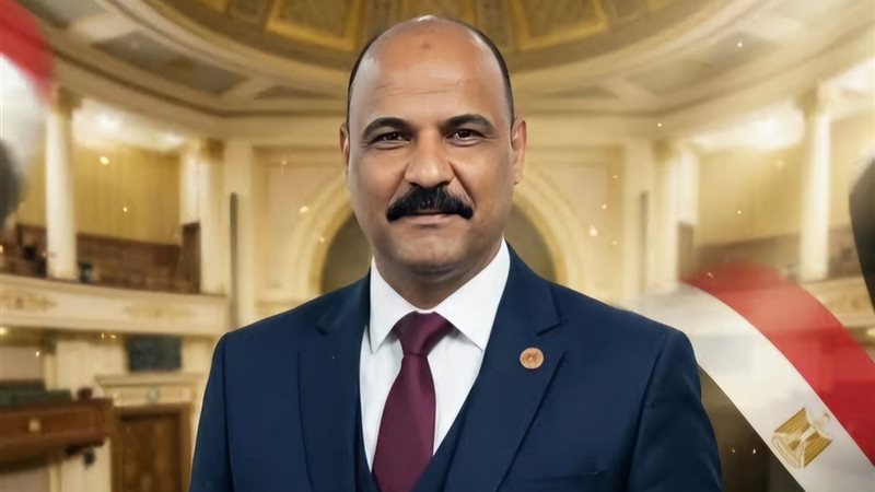 النائب علي معوض عضو