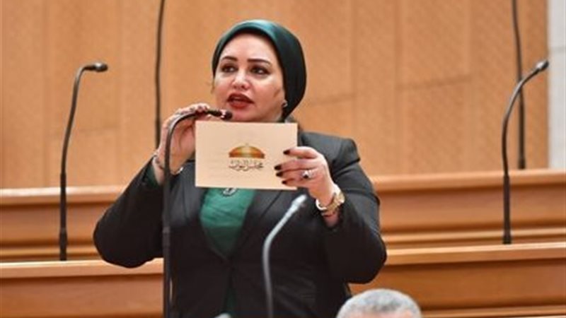 النائبة سولاف درويش