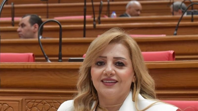 النائبة هبة غالي