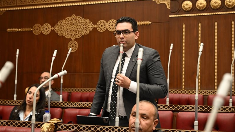 النائب أحمد خالد ممدوح عضو مجلس الشيوخ