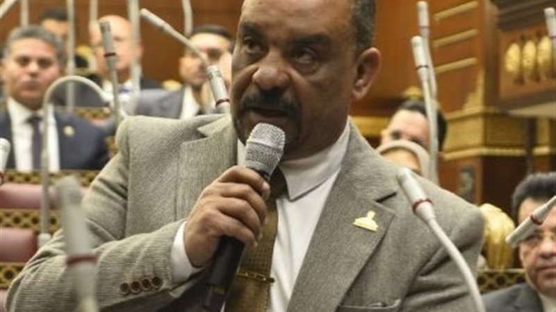 النائب أحمد حافظ