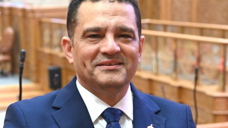  النائب أمير أحمد