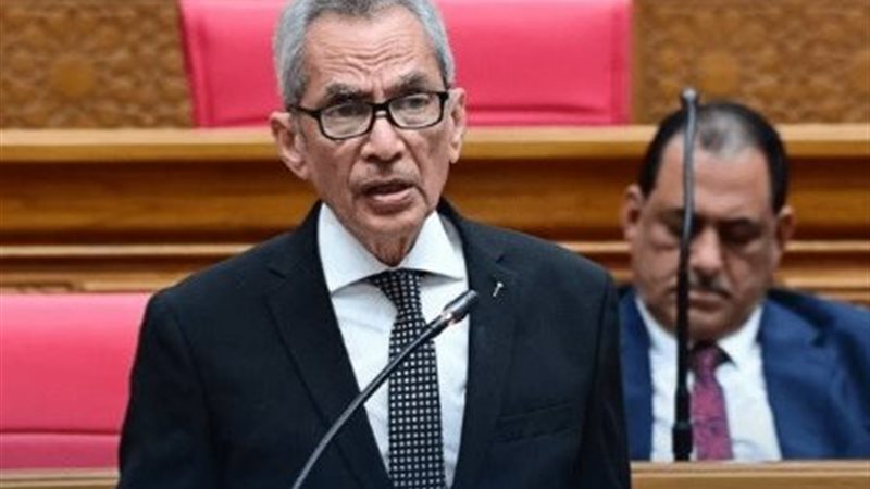 المستشار هاني حنا