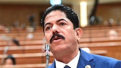 النائب  علاء سليمان الحديوي 