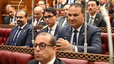 برلماني: إعادة هيكلة الجهاز الحكومي ركيزة الإدارة الرشيدة للموارد العامة