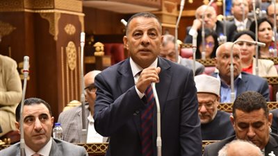 النائب عمر زايد 
