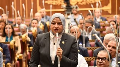 النائبة مروة قنصوة 